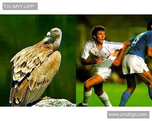 法国足球明星外号揭秘：那些你不知道的绰号背后的故事与传奇